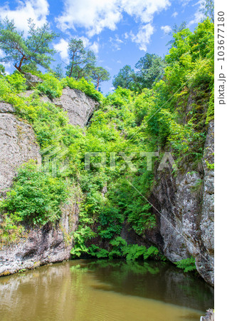 大谷寺　境内　大谷観音　宇都宮市 103677180