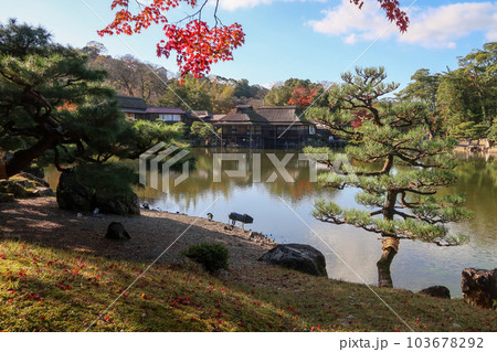 日本の彦根城に隣接した庭園の玄宮園 日本の彦根城に隣接した庭園の玄宮園 103678292