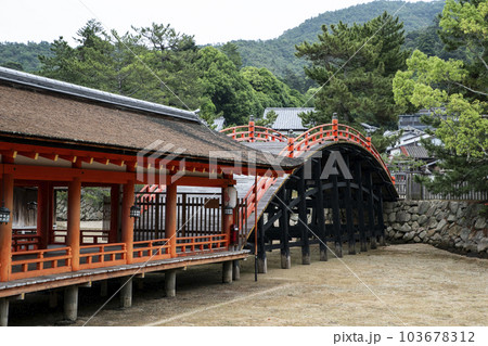 厳島神社 厳島神社 103678312