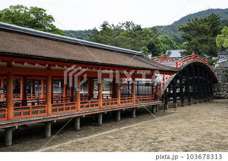 厳島神社 103678313