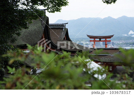 厳島神社 103678317