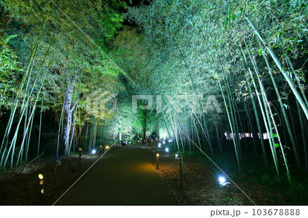 高山社跡竹祭り 103678888