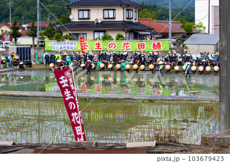 壬生の花田植の風景 壬生の花田植の風景 103679423