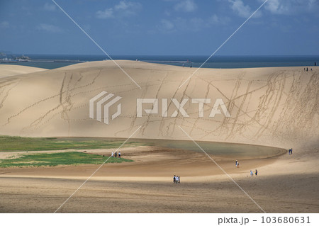 鳥取砂丘 103680631