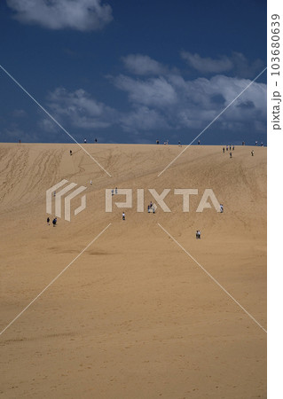 鳥取砂丘 103680639