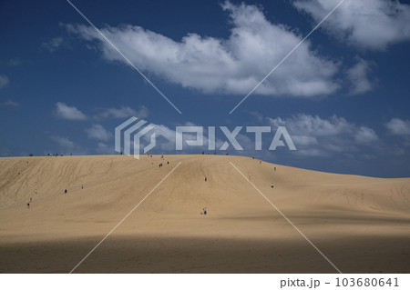 鳥取砂丘 103680641