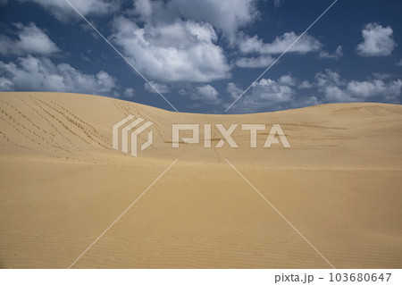鳥取砂丘 103680647