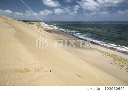 鳥取砂丘 103680663
