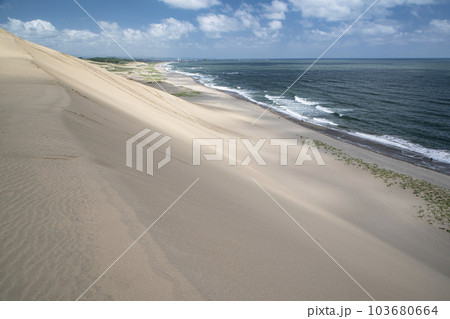 鳥取砂丘 鳥取砂丘 103680664