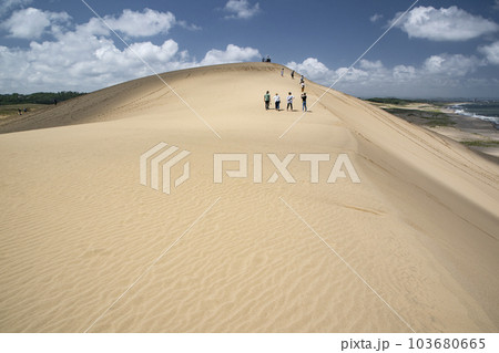鳥取砂丘 103680665