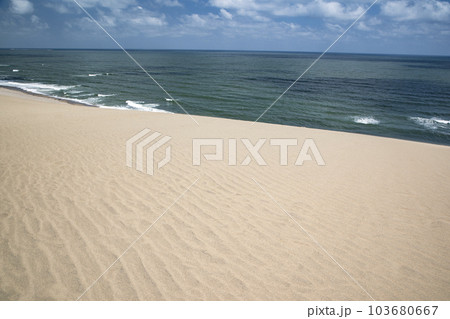 鳥取砂丘 103680667