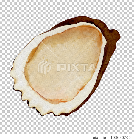 Cartoon character oyster 103680700