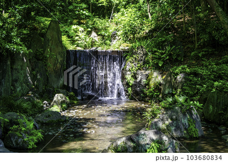 東京都　小石川後楽園　白糸の滝　新緑の初夏 103680834