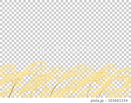 Hand drawn watercolor pampas grass bottom frame 103681334