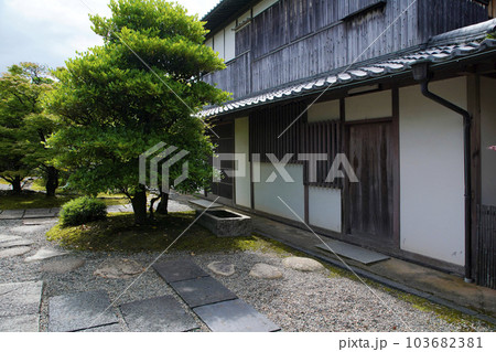 萩城下町 103682381