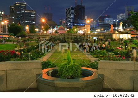 【大阪府】中之島バラ公園の夜景 【大阪府】中之島バラ公園の夜景 103682642