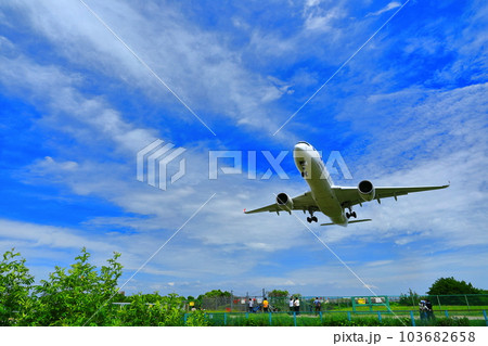 【大阪府】伊丹空港に着陸する旅客機 103682658