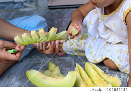cut melon fruit cut melon fruit 103683133