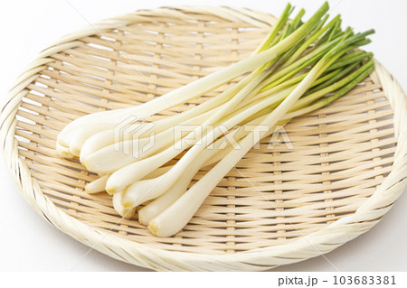 笊に乗ったエシャレット　白バック 103683381