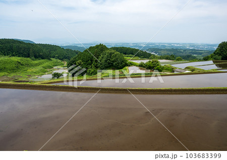 山上の棚田に西原村水田の風景 103683399