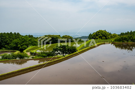 山上の棚田に西原村水田の風景 103683402