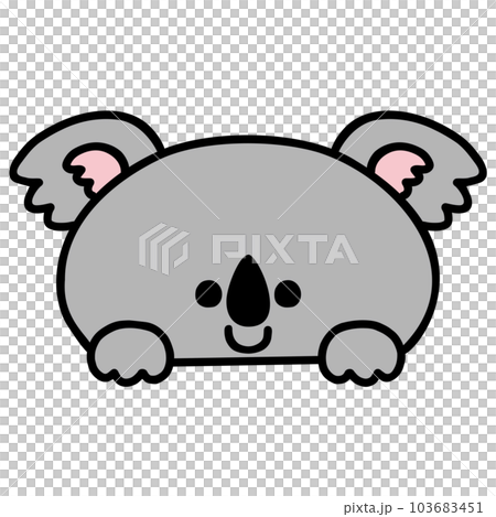 ひょっこり顔を出すかわいいコアラ 103683451
