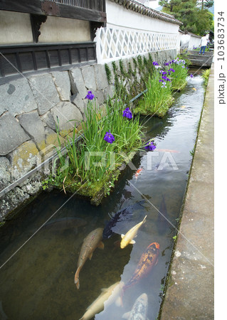 津和野の街並み 津和野の街並み 103683734