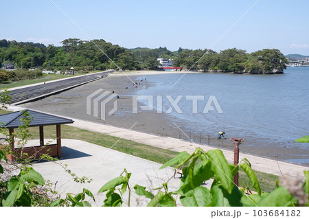 松島波打浜の景色 松島波打浜の景色 103684182