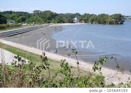 高所から眺めた波打ち浜の景色 103684193