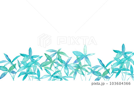 水彩画。水彩タッチで描いたパキラのベクターイラスト。夏の植物背景。 103684366