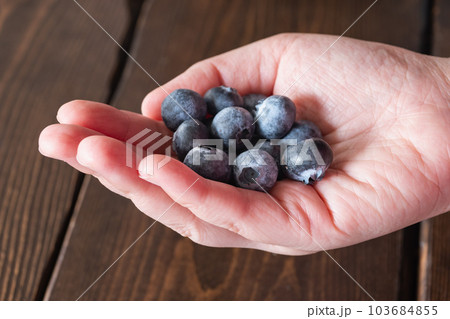 新鮮なブルーベリー。ビタミンたっぷりの甘酸っぱい果物。 103684855