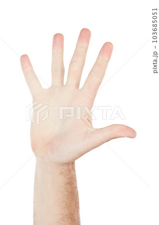 Numbers, showing and hand of a person for communication isolated on a white background in studio. High five, sign language and palm of a man for a warning, conversation and hello on a backdrop 103685051