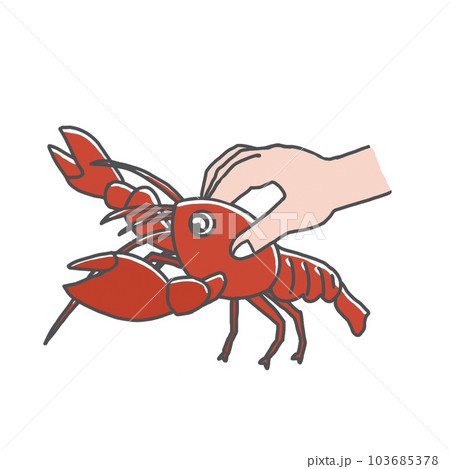 ザリガニの持ち方 ザリガニの持ち方 103685378