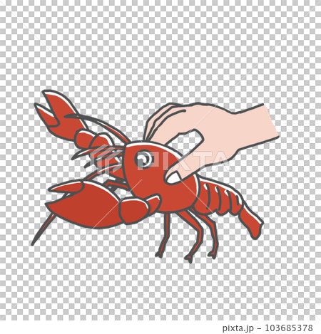 ザリガニの持ち方 ザリガニの持ち方 103685378