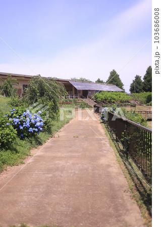 富田さとにわ耕園の遊歩道 富田さとにわ耕園の遊歩道 103686008