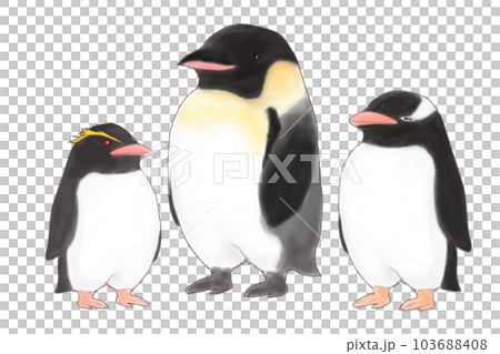 企鵝 禽 帝企鵝 103688408
