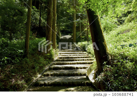 続日本100名城 高天神城 北側登山道 続日本100名城 高天神城 北側登山道 103688741