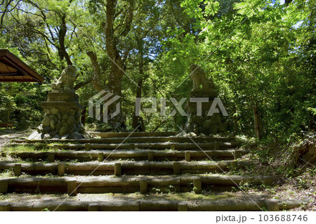 続日本100名城　高天神城　高天神社獅子舞 103688746