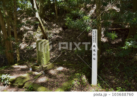 続日本100名城　高天神城　戦死の址 103688760