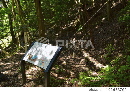 続日本100名城　高天神城　横堀跡 103688763