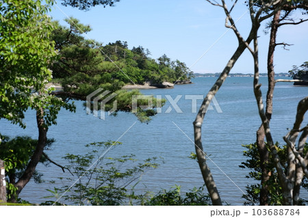 福浦島から眺めた松島湾の景色 福浦島から眺めた松島湾の景色 103688784