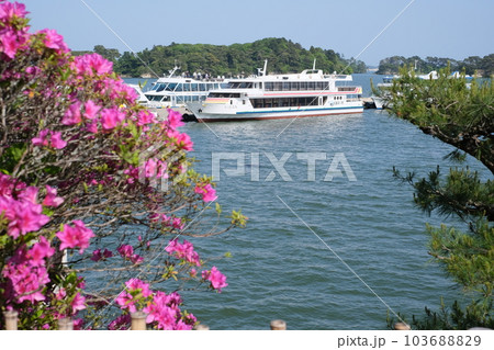 観瀾亭から眺めた松島観光船乗り場の景色 103688829