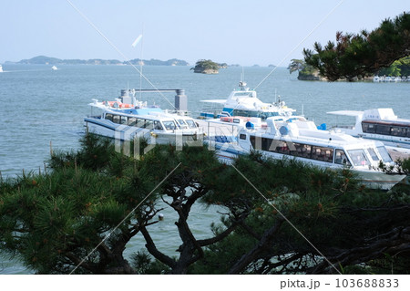 観瀾亭から眺めた松島観光船乗り場の景色 観瀾亭から眺めた松島観光船乗り場の景色 103688833