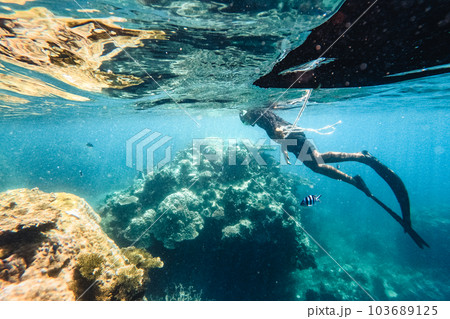 Under the sea corals and fish 103689125