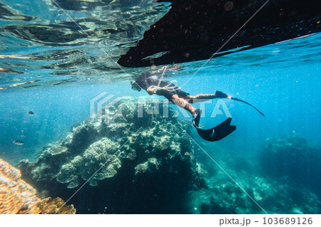 Under the sea corals and fish 103689126