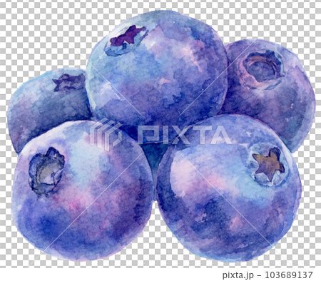 複数個積まれたブルーベリーの実の水彩イラスト 103689137