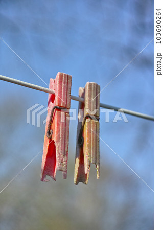 Plastic material decay, crack and discoloration on household objects caused by UV radiation. Closeup details of old pegs on a clothing line outdoors against blurred background with copy space Plastic material decay, crack and discoloration on household objects caused by UV radiation. Closeup details of old pegs on a clothing line outdoors against blurred background with copy space 103690264