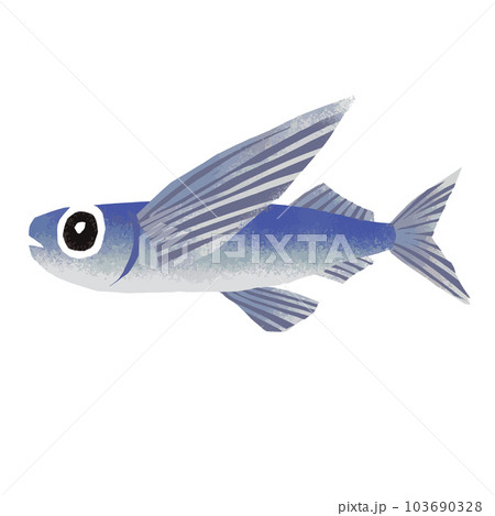 トビウオの水彩風イラスト 103690328