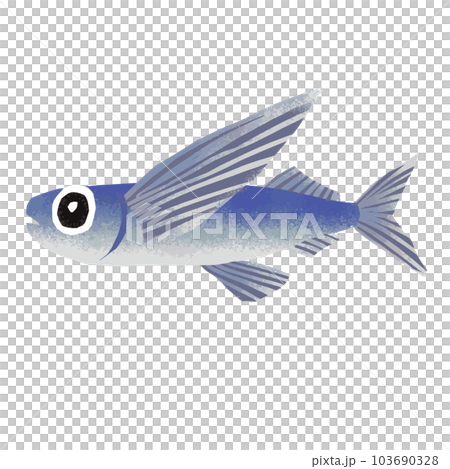 トビウオの水彩風イラスト 103690328