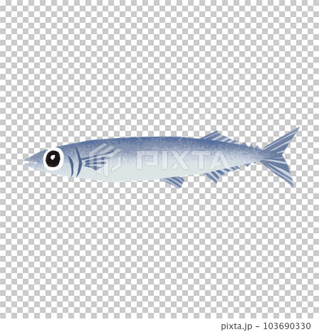 サンマの水彩風イラスト サンマの水彩風イラスト 103690330